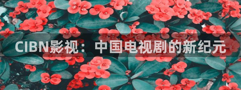 青柠影院视频：CIBN影视：中国电视剧的新纪元