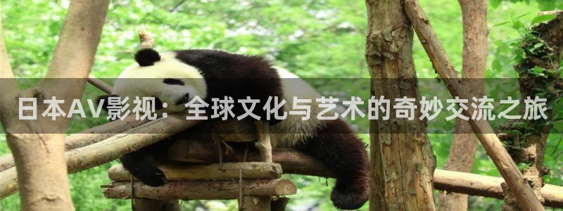青柠影院在线播放：日本AV影视：全球文化与艺术的奇妙交流之旅