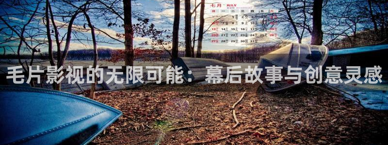 青柠檬影院在线观看：毛片影视的无限可能：幕后故事与创意灵感