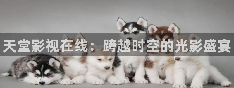 青柠影院2023年上映的电视剧：天堂影视在线：跨越时空的光影盛宴